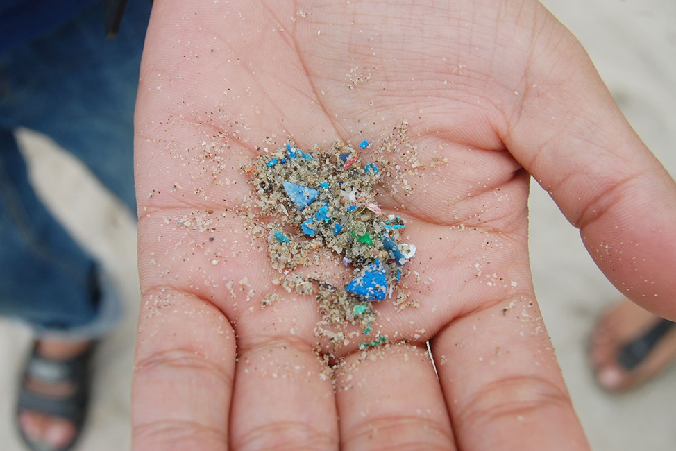 What you Need to Know about Microplastics